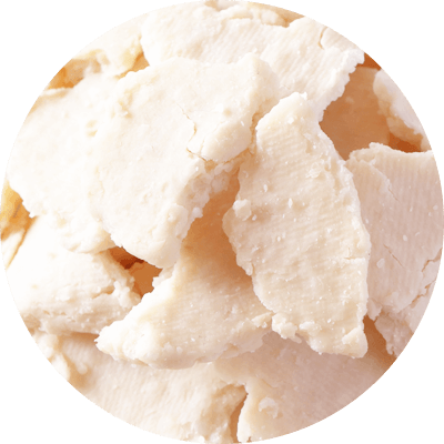 酒粕はエキス化しない